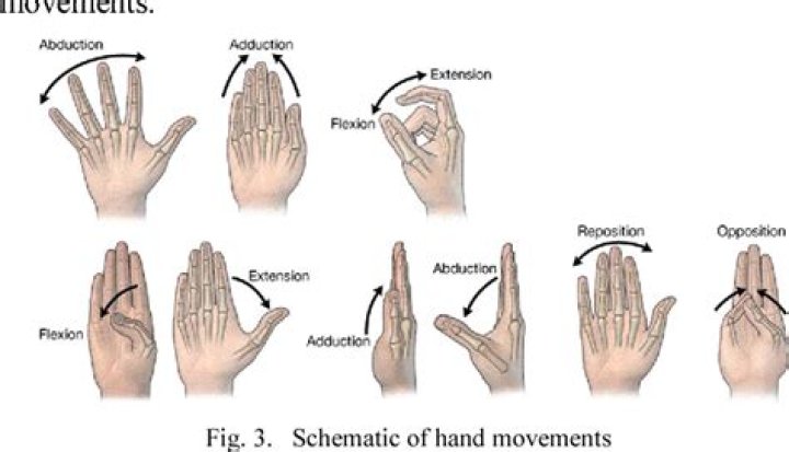 Do Conductor's Hand Movements Mean