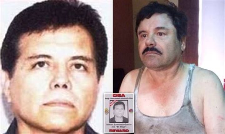 El Mayo Net Worth 2023