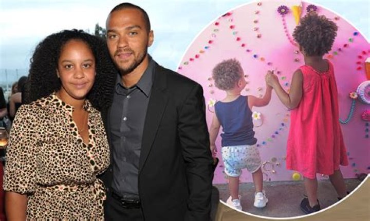 Jesse Williams And Vanessa Williams' Ethnicity Examined