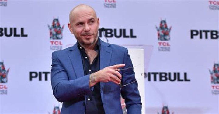 Pitbull Net Worth From Street Swagger To