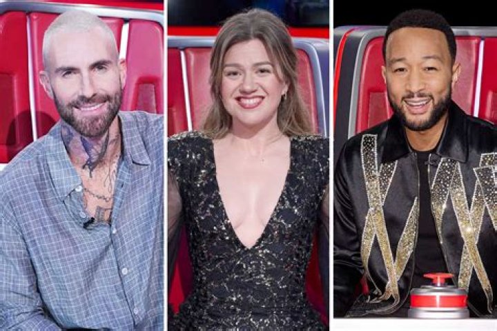 Was American Idol's W Ani on The Voice? Top 12 singer is a talent show regular