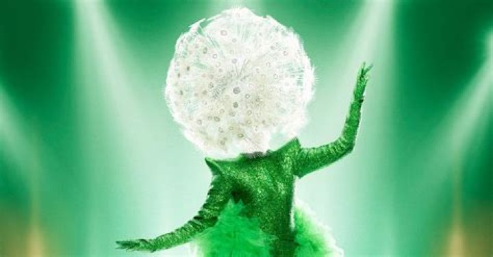 Who Is Dandelion On The Masked Singer